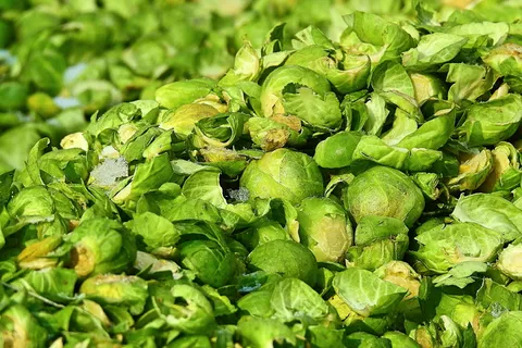 食用、植物、抱子甘蓝、食品、绿色、食品和饮料、健康饮食、新鲜度 食用、植物、抱子甘蓝、食品、绿色、食品和饮料、健康饮食、新鲜度