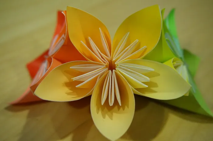 折纸，花，折纸，模块，新鲜度，开花植物，特写，植物