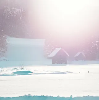 棕色，谷仓，白天，房子，雪，植物，草，树