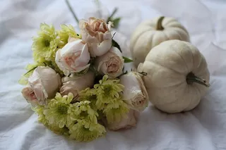 南瓜，南瓜，颜色，白色，花束，装饰，玫瑰，新鲜