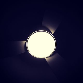 美国，脊木，照明，圆形，圆形，阴影，平移，深色