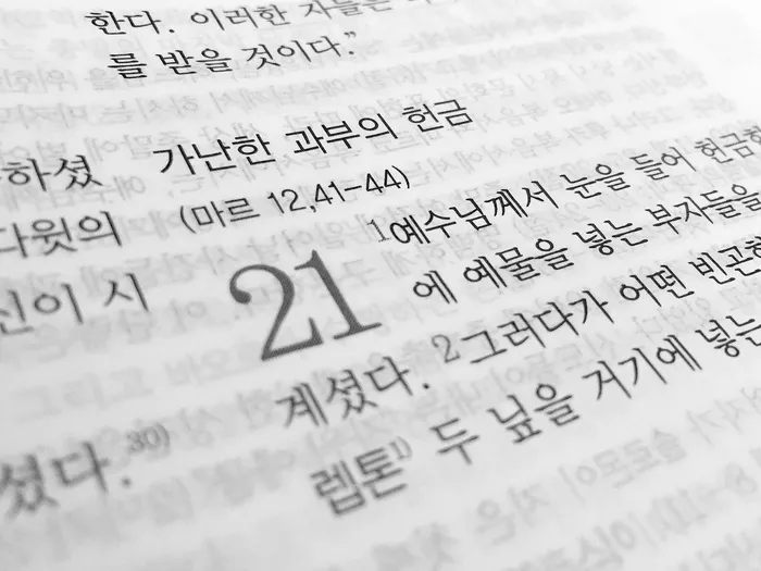 汉字文本、圣经、书籍、宗教、基督教、福音、语言、韩语