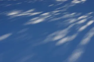 冬天，雪，阴影，白色，寒冷，季节性，雪花，降雪