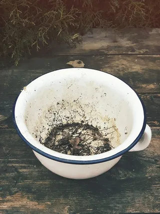 碗，珐琅，便盆，村庄，旧，碗，乡村别墅，厨房用具