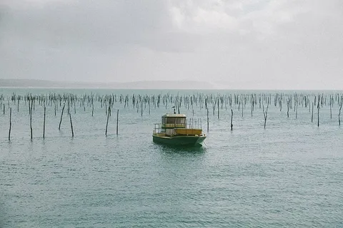 灰色，白色，船，身体，水，白天，航行，蓝色