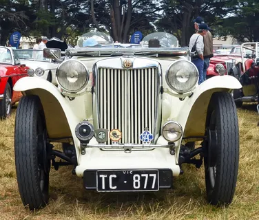 mg, mg tc, tc, 老车, 老爷车, 年份, 莫宁顿半岛, 车展 mg, mg tc, tc, 老车, 老爷车, 年份, 莫宁顿半岛, 车展
