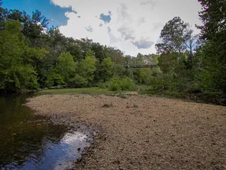 美国，yellville，buffalo point河接入点，树，植物，水，天空，自然