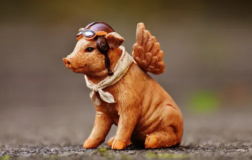 倾斜镜头照片,有翼,猪雕像,幸运猪,守护天使,人物,有趣,可爱 倾斜镜头照片,有翼,猪雕像,幸运猪,守护天使,人物,有趣,可爱