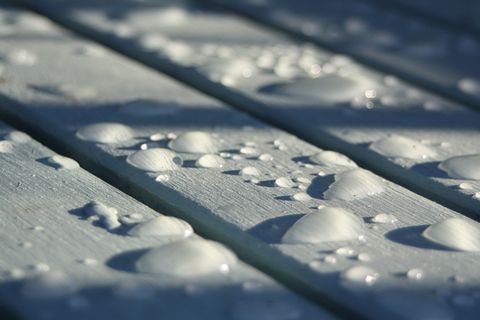 英国, Chartham, 雨滴, 雨, 水滴, 水, 选择性焦点, 室内