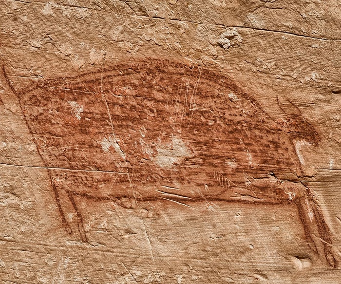 阿纳萨齐，岩石艺术，艺术，水牛，岩石，印度艺术，史前，史前水牛