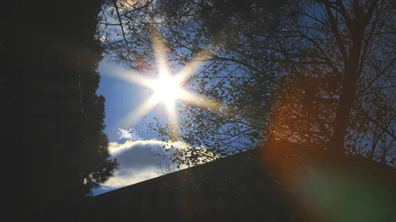 树枝、轮廓、太阳、阳光、树木、自然、天空、户外
