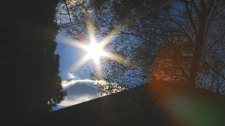 树枝、轮廓、太阳、阳光、树木、自然、天空、户外