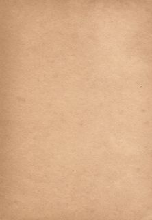 关闭，照片，棕色，表面，特写，叶子，老化，老化