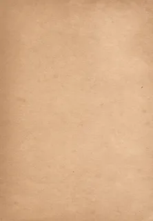 关闭，照片，棕色，表面，特写，叶子，老化，老化