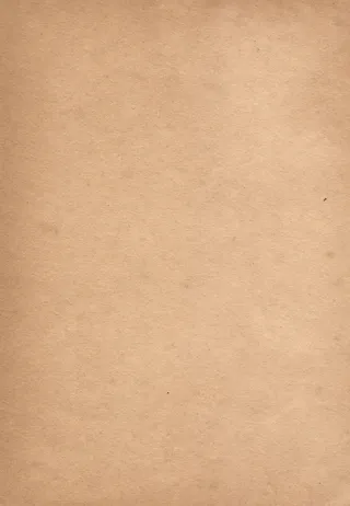 关闭，照片，棕色，表面，特写，叶子，老化，老化