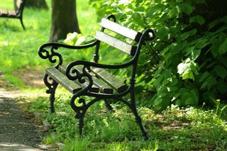 灰色，黑色，长条，绿色，植物，公园，间隔，春天