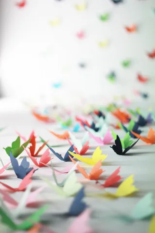 蝴蝶，小清新，苍蝇，装饰，选择性聚焦，多色，室内，无人