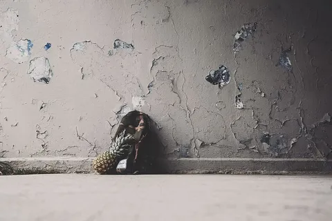 菠萝 菠萝