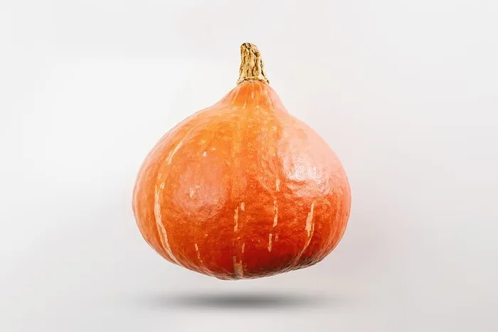 白底南瓜