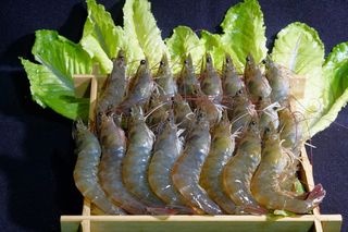 优质虾、白虾、蔬菜、虾、食品和饮料、食品、新鲜度、健康饮食