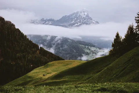 草覆盖的小山 草覆盖的小山
