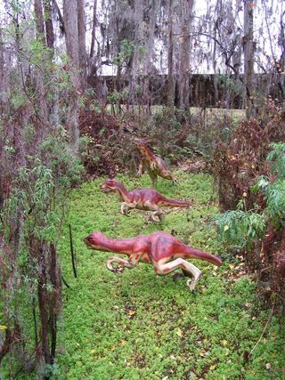 恐龙，恐龙世界，主题公园，佛罗里达，景点，侏罗纪，灭绝，食肉动物