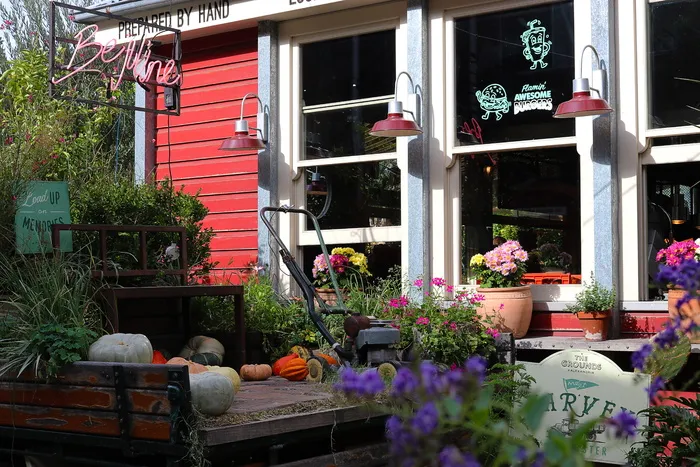 澳大利亚，亚历山大，亚历山大广场，南瓜，窗户，汉堡，插图，鲜花