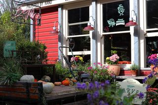 澳大利亚，亚历山大，亚历山大广场，南瓜，窗户，汉堡，插图，鲜花