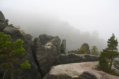 雾,灰色,绿色,岩石,树木,树木,植物,岩石 雾,灰色,绿色,岩石,树木,树木,植物,岩石