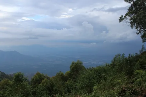 多雨,浓密,云,树,植物,云天,自然之美,宁静 多雨,浓密,云,树,植物,云天,自然之美,宁静