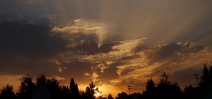 太阳，日落，天空，abendstimmung，树，阳光，浪漫，心情