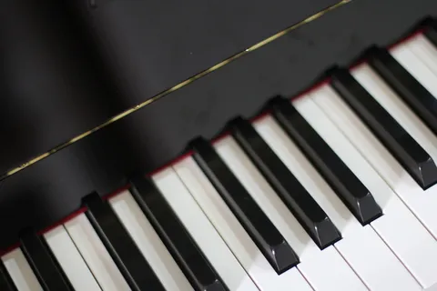 钢琴, 象牙, 乌木, 合成器, 仪器, 音乐, 乐器, 钢琴键 钢琴, 象牙, 乌木, 合成器, 仪器, 音乐, 乐器, 钢琴键