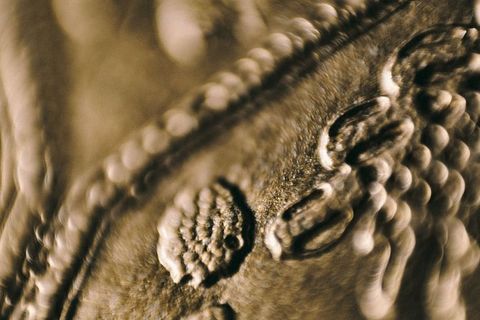 黄金抽象背景特写图