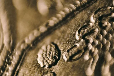 黄金抽象背景特写图 黄金抽象背景特写图