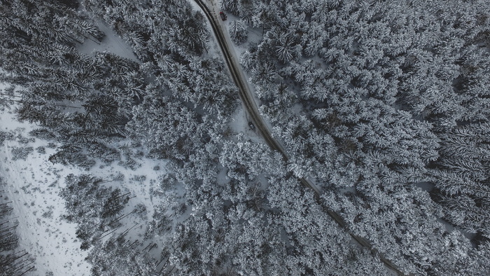 高角度摄影，森林，雪，冬天，白色，寒冷，天气，冰