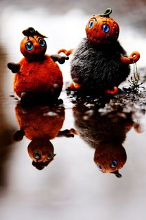 南瓜，秋天，秋天，万圣节，动物，动物主题，动物群，野生动物