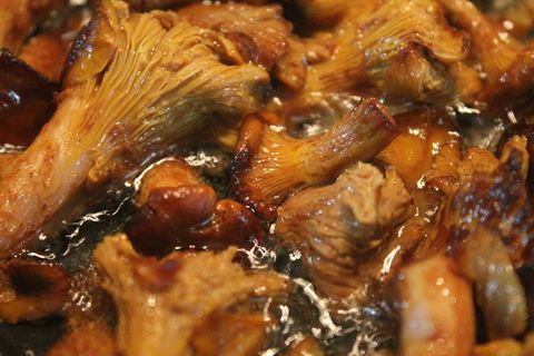 蘑菇,香菇,蘑菇,香菇,黄色,营养,油炸,食品和饮料 蘑菇,香菇,蘑菇,香菇,黄色,营养,油炸,食品和饮料