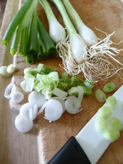 葱,蔬菜,块茎,白,绿,韭菜温室,根网,烹饪 葱,蔬菜,块茎,白,绿,韭菜温室,根网,烹饪
