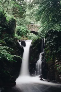 水、户外、河流、瀑布、树木、森林、大自然、小溪