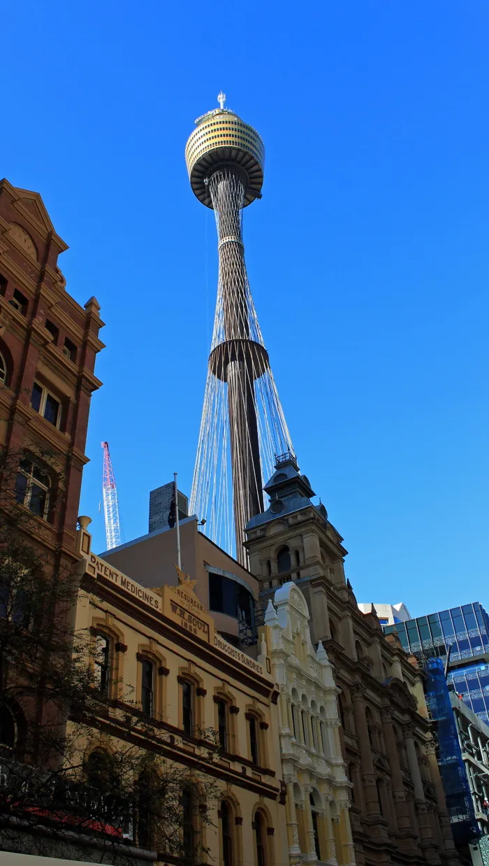 悉尼塔, 城市景观, 从底部, 电视塔, 建筑结构, 建筑外观, 架构, 天空