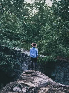 美国，胡佛，苔藓岩石保护区，森林，湖泊，看，牛仔裤，你好