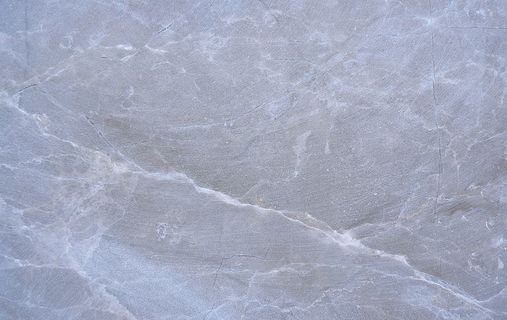 石板、纹理、地毯、混凝土、大理石、地板、无脊椎动物、昆虫 石板、纹理、地毯、混凝土、大理石、地板、无脊椎动物、昆虫