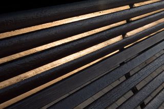 银行，太阳，阴影，森林，亮点，浪漫，soledad，假日