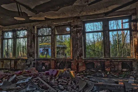 毁坏的房间墙纸、建筑、失落的地方、树叶、旧的、腐烂的、毁坏的、失效的