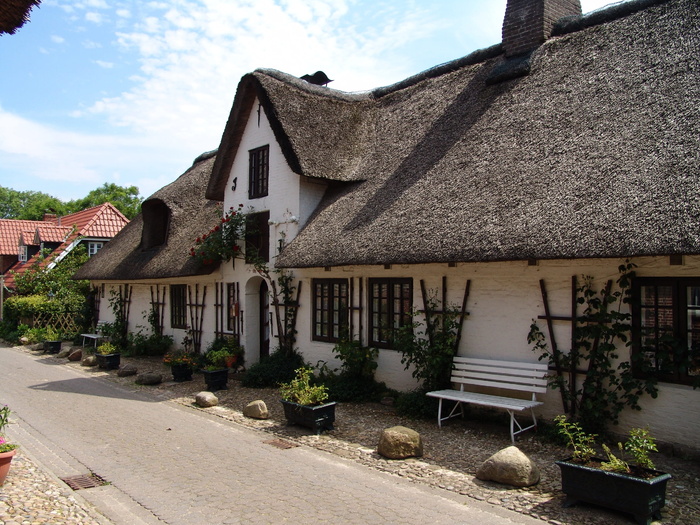 home，reed，roof，Thatchd roof，Thatchd，mecklenburg，holstein，德国北部