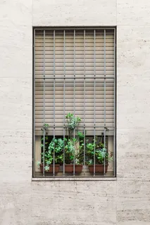 窗户上的绿色植物，带钢格栅