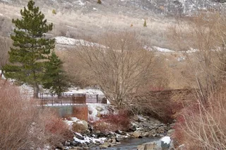 自然，户外，树木，水，小溪，小溪，冷杉，冷杉