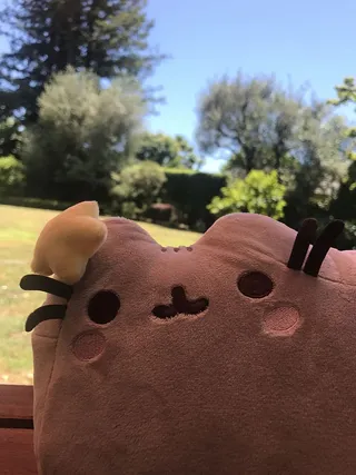 美国，帕洛阿尔托，新月公园，普辛，太阳，美人鱼，花园，树