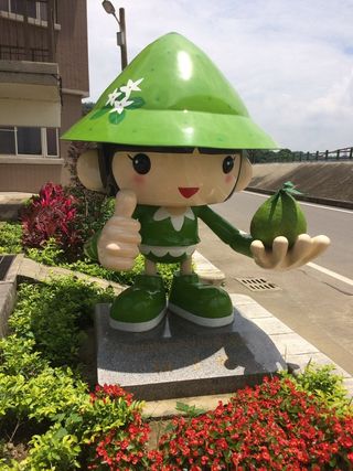 葡萄柚娃娃，葡萄柚，葡萄柚，表示，植物，花，人类表示，开花植物