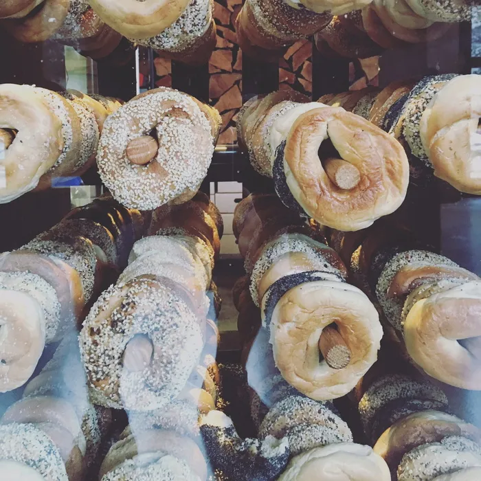 美国，西雅图，国会山，展览，窗户，种子，平原，芝麻